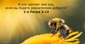 1-е Петра 3:13