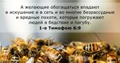 1-е Тимофею 6:9