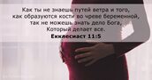 Екклесиаст 11:5