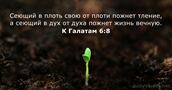 К Галатам 6:8