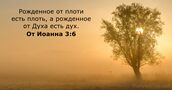 От Иоанна 3:6