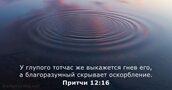 Притчи 12:16