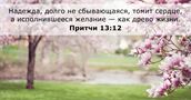 Притчи 13:12