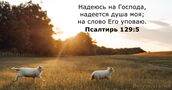 Псалтирь 129:5