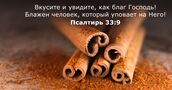 Псалтирь 33:9