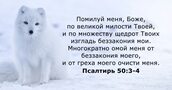 Псалтирь 50:3-4
