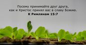 К Римлянам 15:7