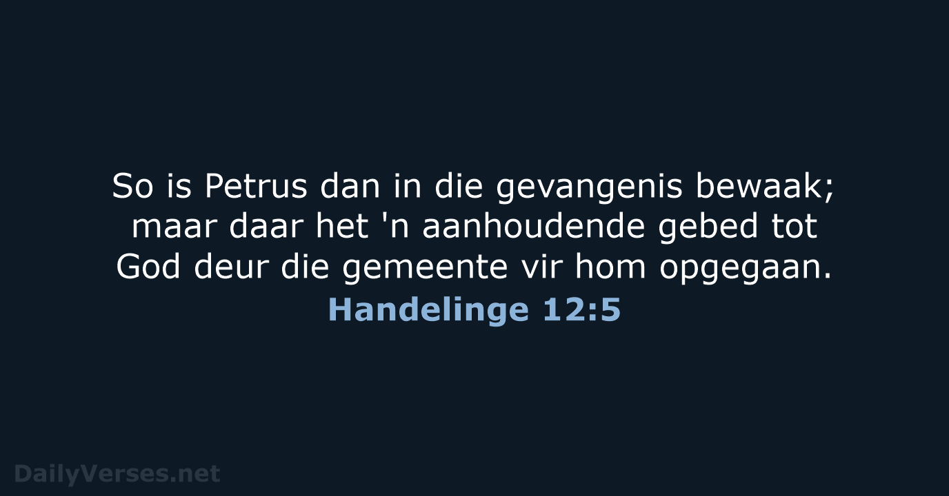 Handelinge 12:5 - AFR53