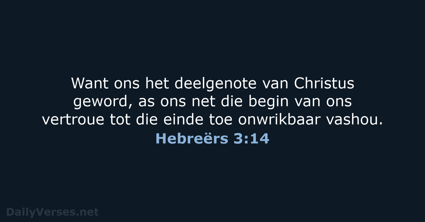 Hebreërs 3:14 - AFR53