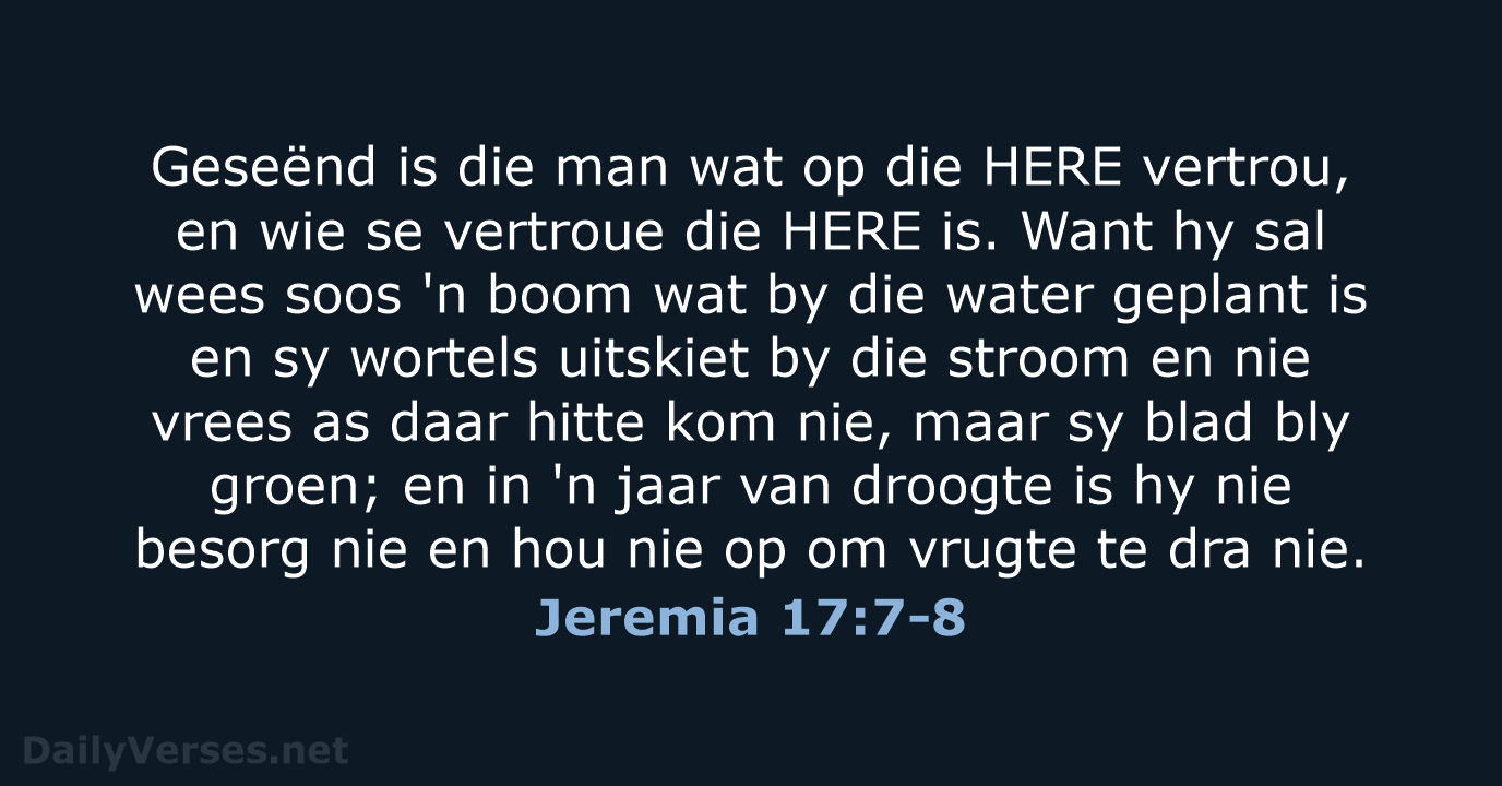 Jeremia 17:7-8 - AFR53