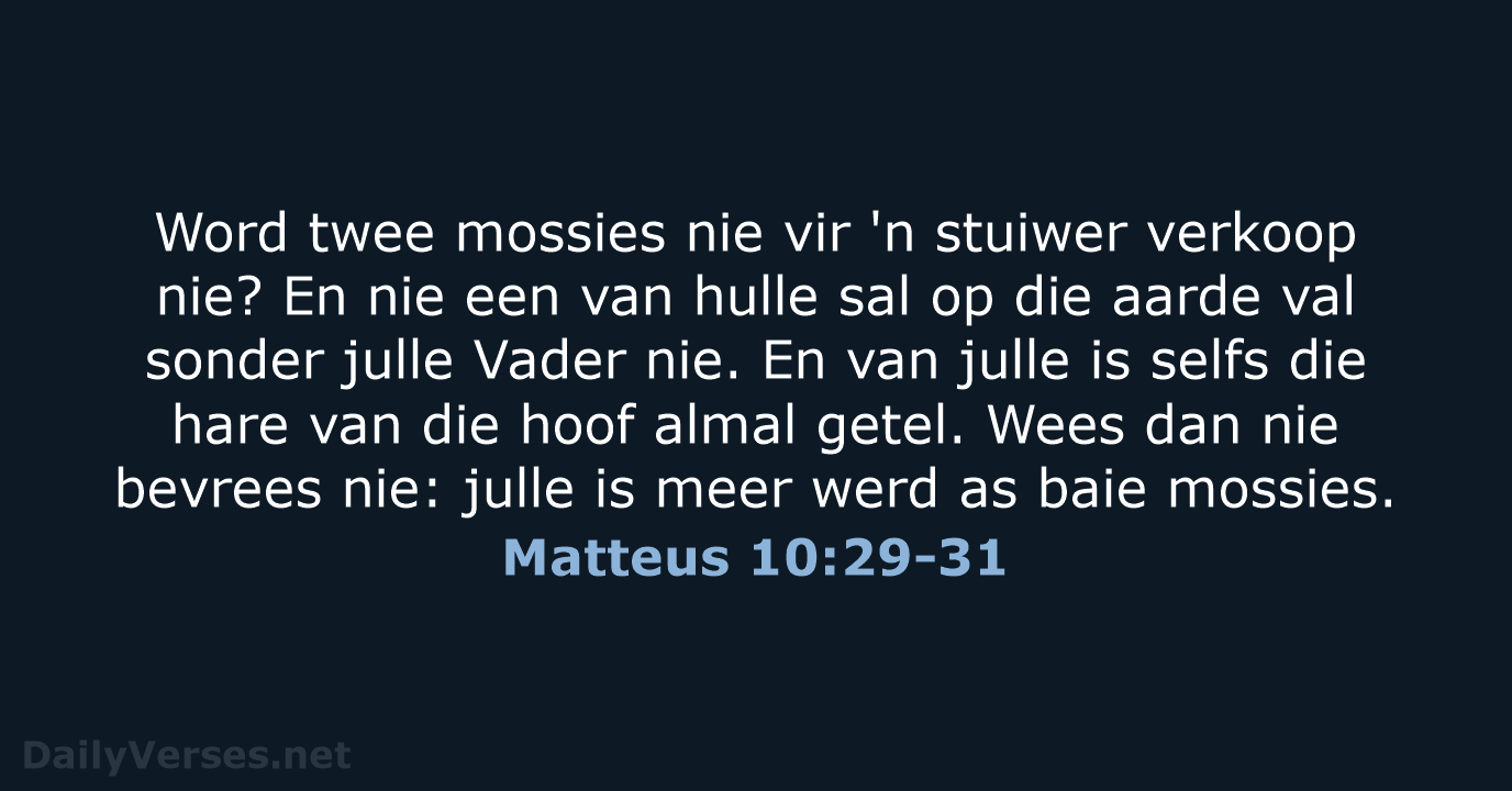 Matteus 10:29-31 - AFR53