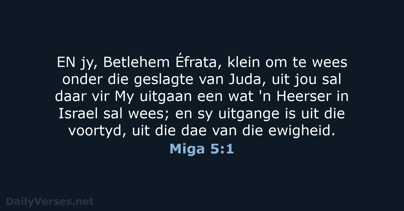 Miga 5:1 - AFR53