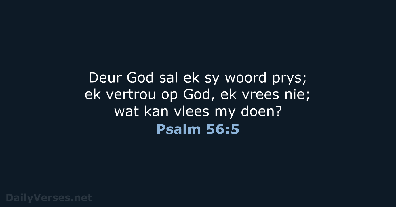 Psalm 56:5 - AFR53