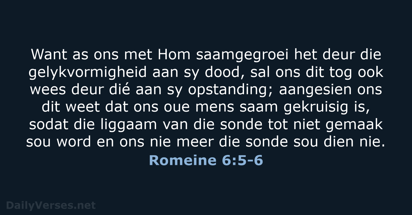 Romeine 6:5-6 - AFR53