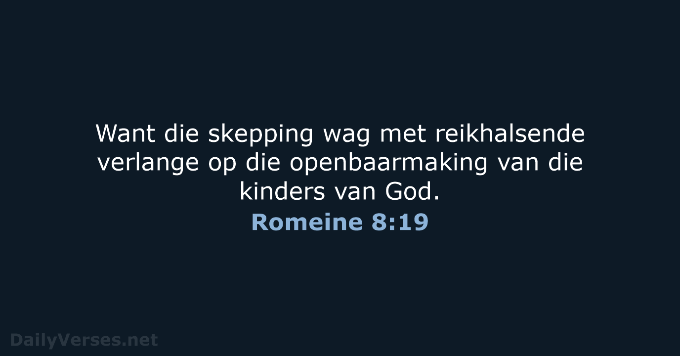 Romeine 8:19 - AFR53