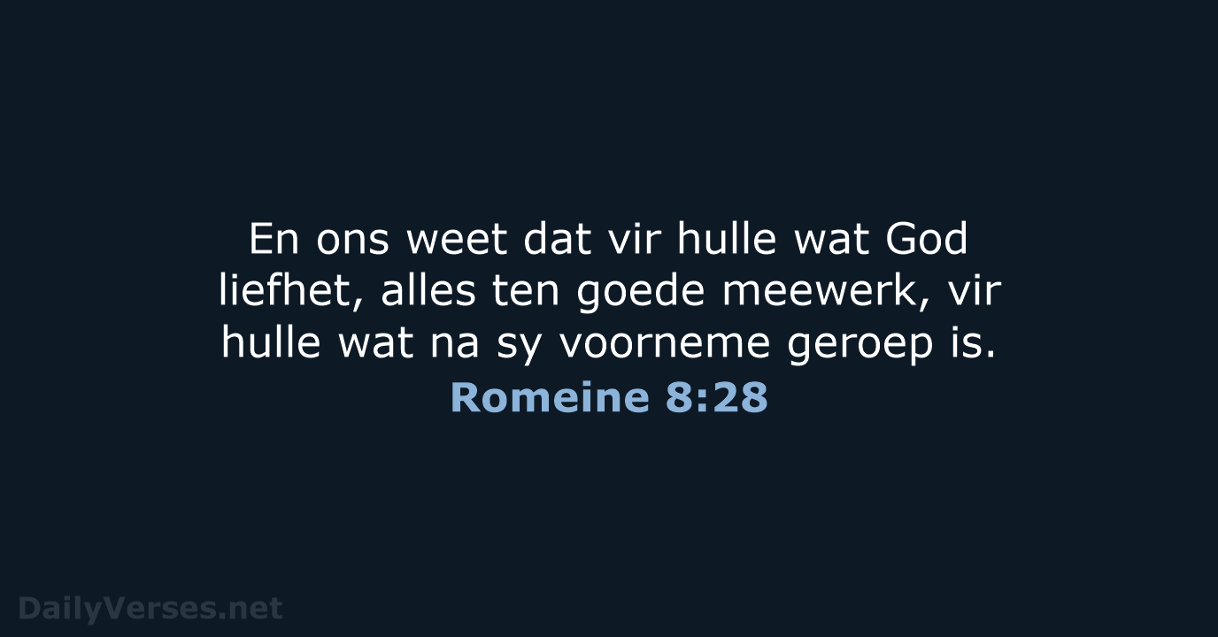 Romeine 8:28 - AFR53