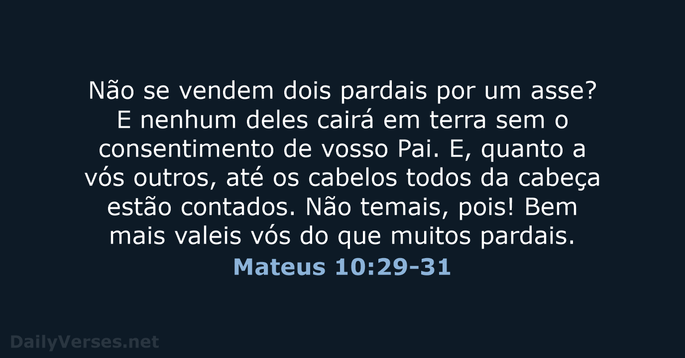 Mateus 10:29-31 - ARA