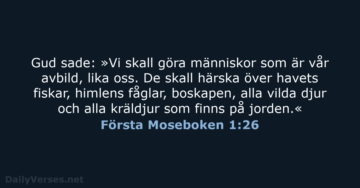 Första Moseboken 1:26 - B2000