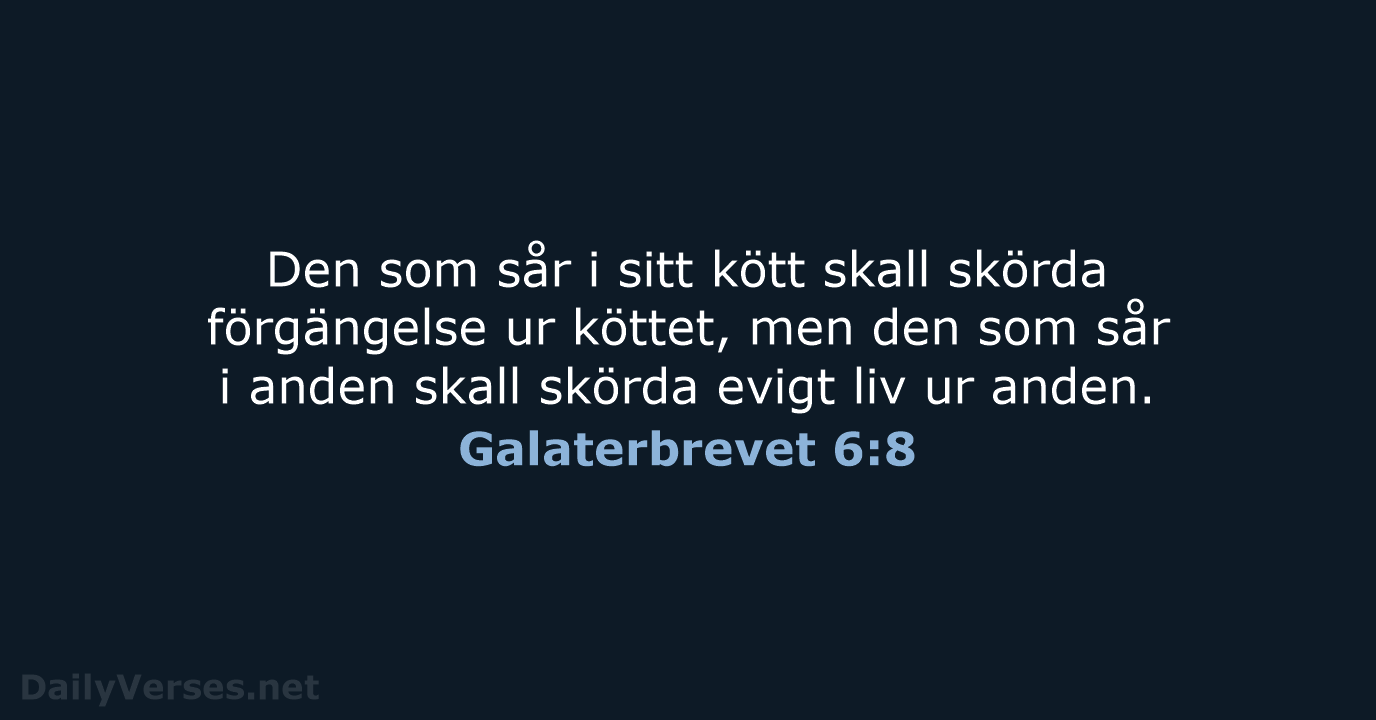 Galaterbrevet 6:8 - B2000