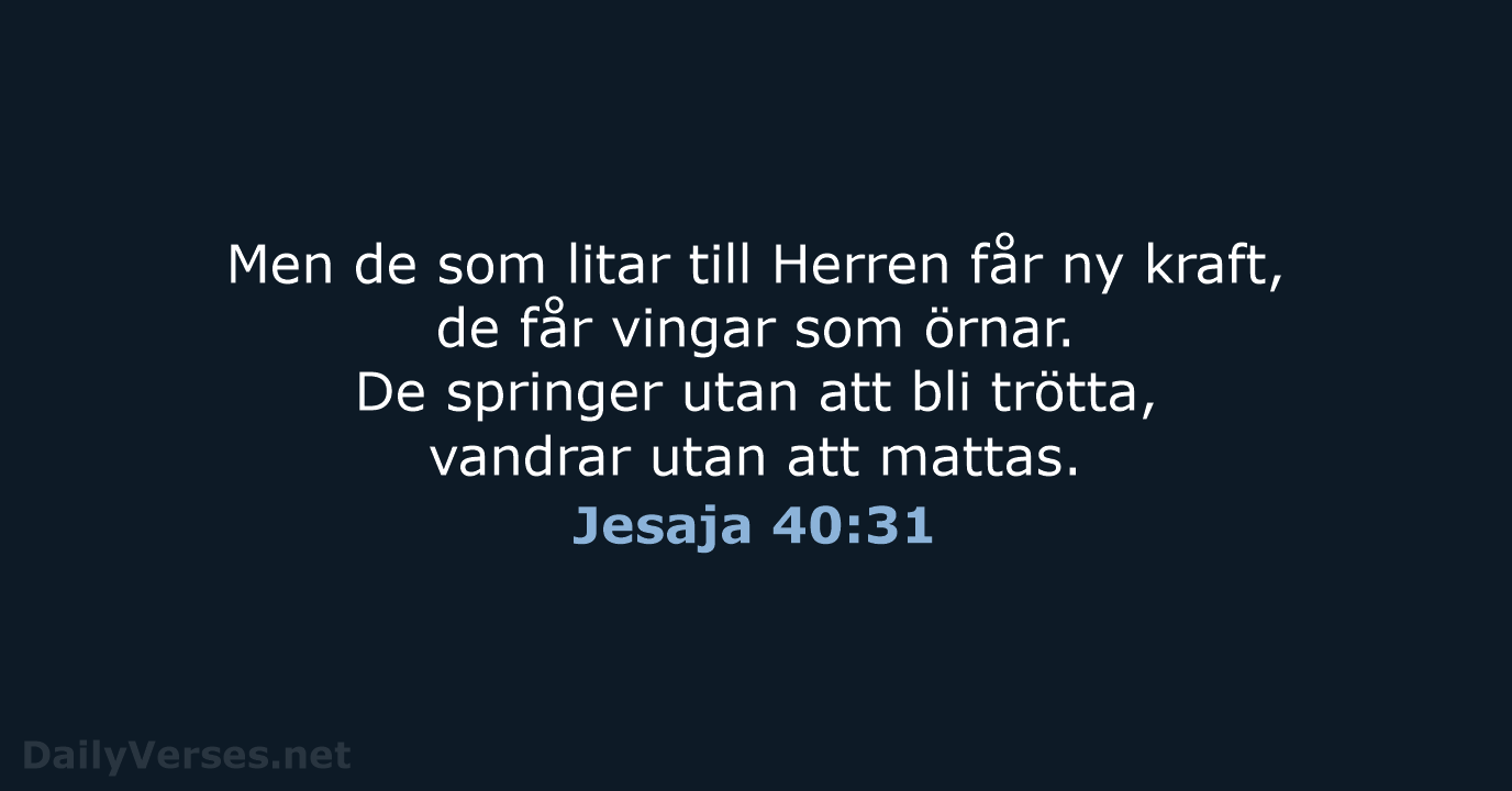 Men de som litar till Herren får ny kraft, de får vingar… Jesaja 40:31