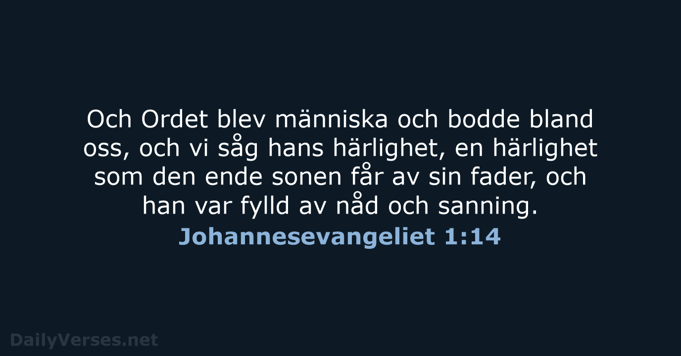 Och Ordet blev människa och bodde bland oss, och vi såg hans… Johannesevangeliet 1:14