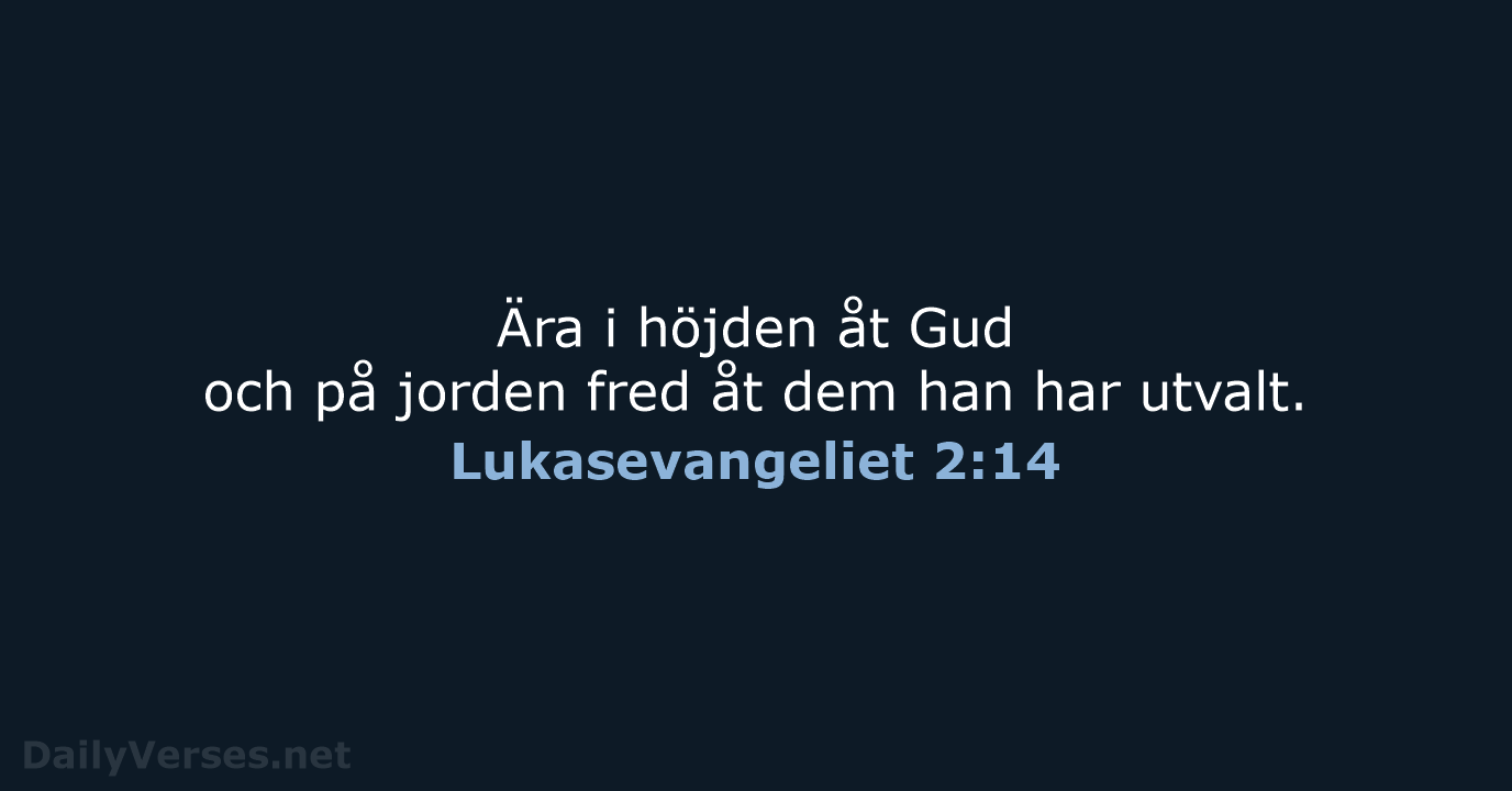 Lukasevangeliet 2:14 - B2000