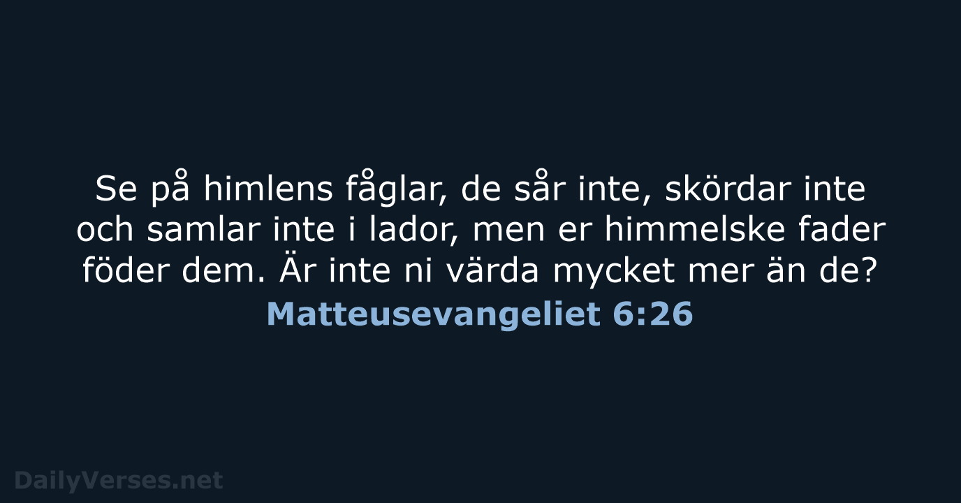 Matteusevangeliet 6:26 - B2000