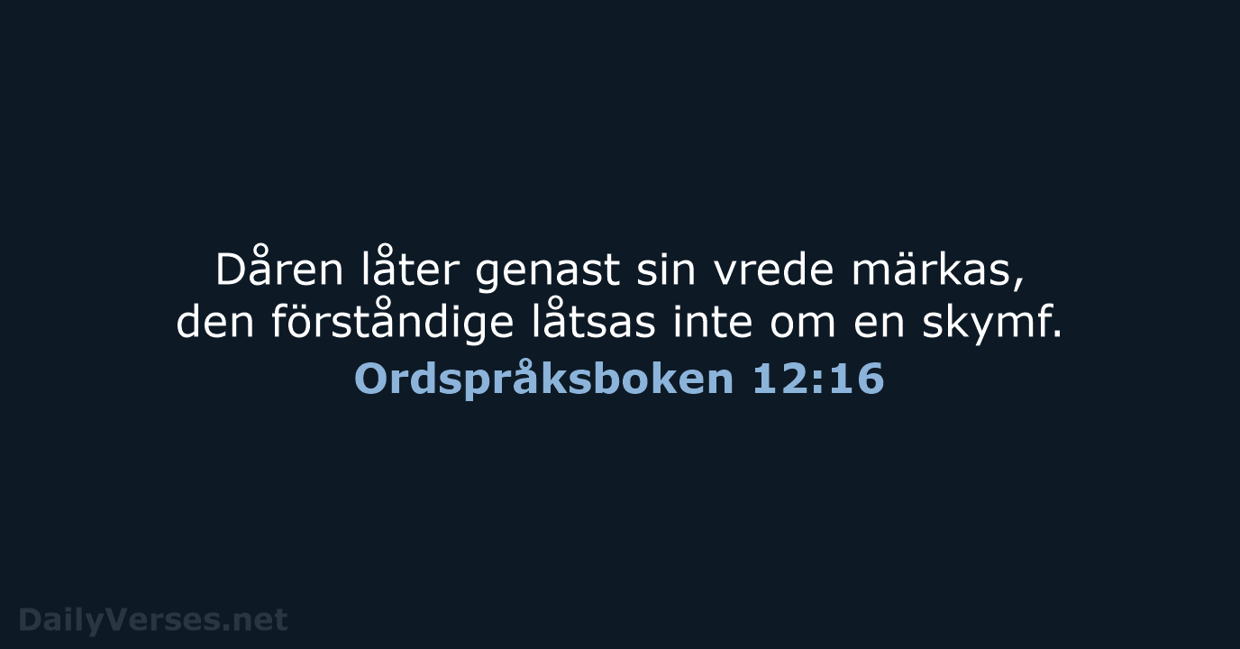 Ordspråksboken 12:16 - B2000