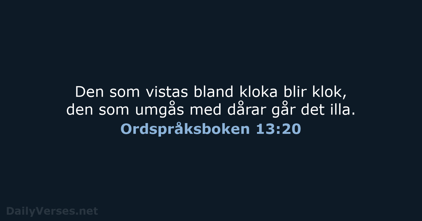 Ordspråksboken 13:20 - B2000