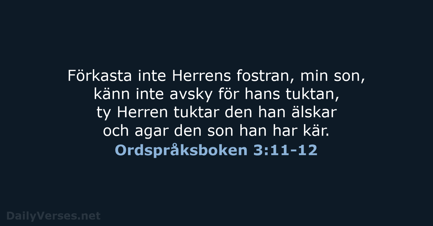 Förkasta inte Herrens fostran, min son, känn inte avsky för hans tuktan… Ordspråksboken 3:11-12