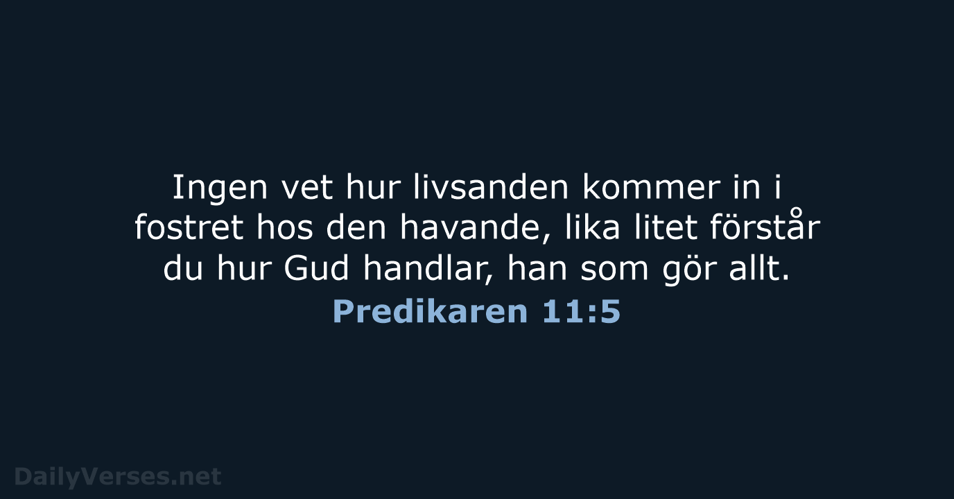Predikaren 11:5 - B2000
