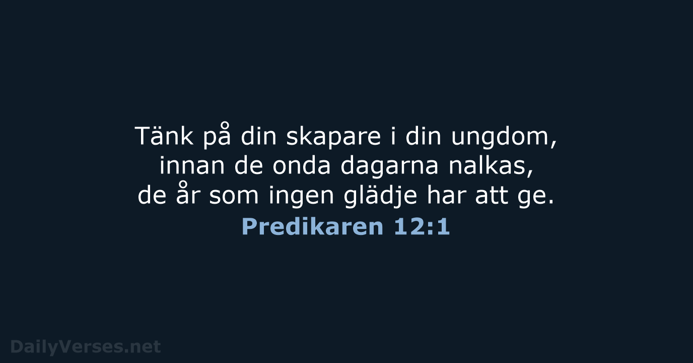 Predikaren 12:1 - B2000
