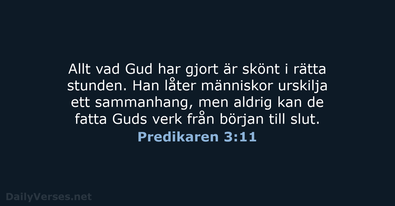 Predikaren 3:11 - B2000