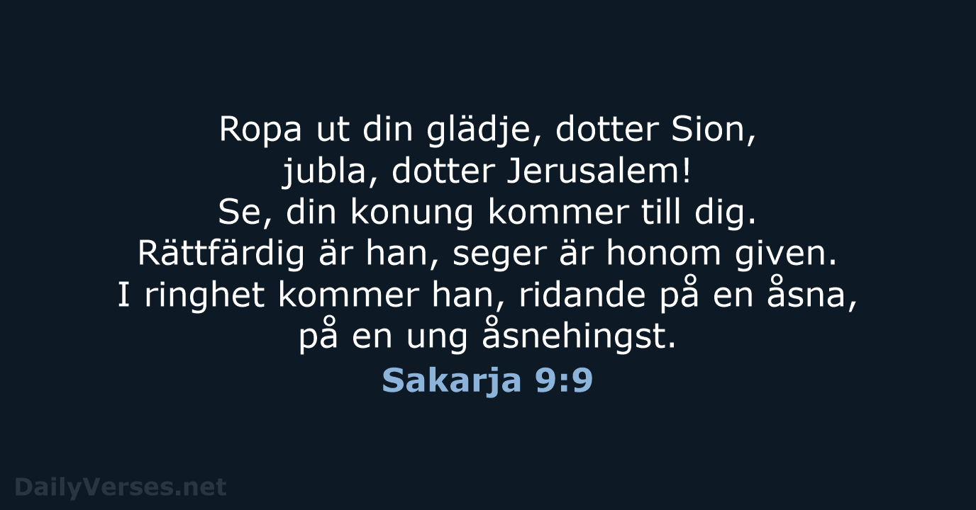 Sakarja 9:9 - B2000