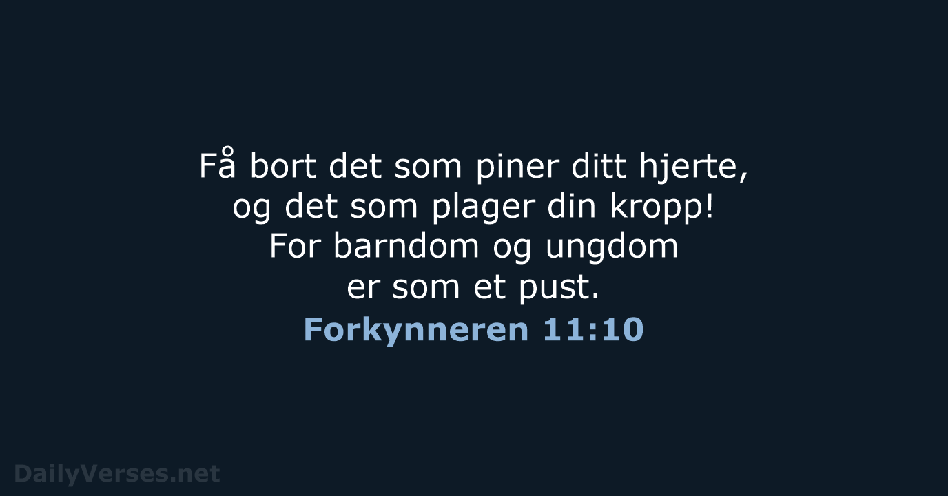 Forkynneren 11:10 - B2024