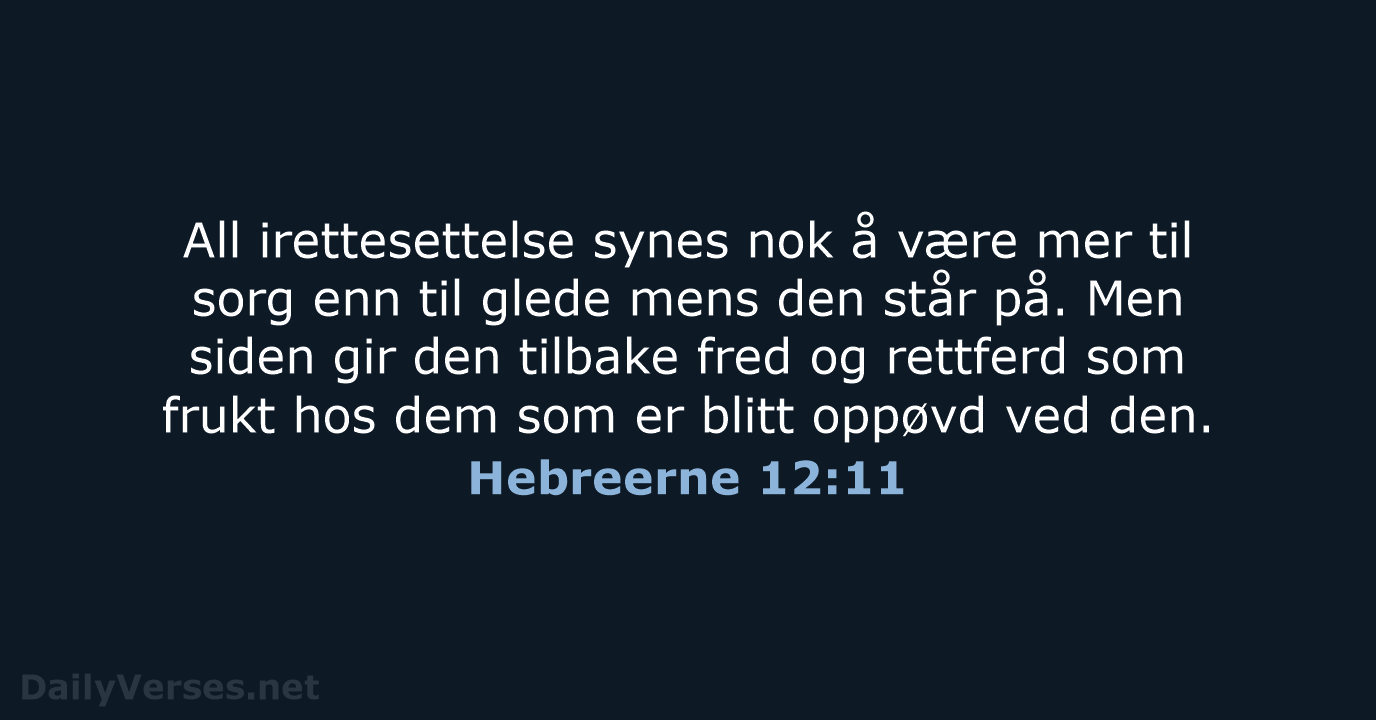 Hebreerne 12:11 - B2024