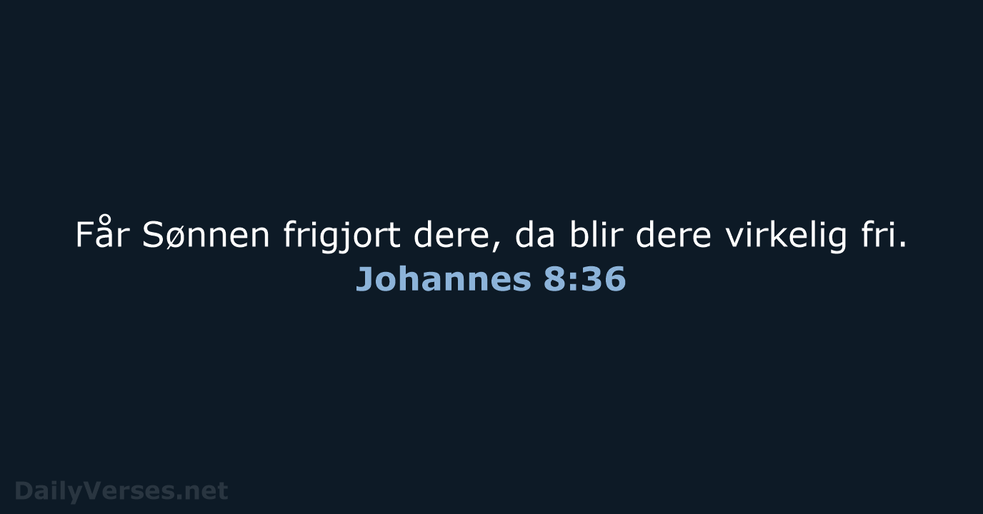 Johannes 8:36 - B2024