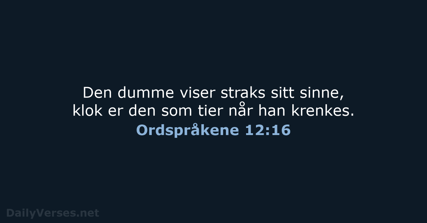 Ordspråkene 12:16 - B2024