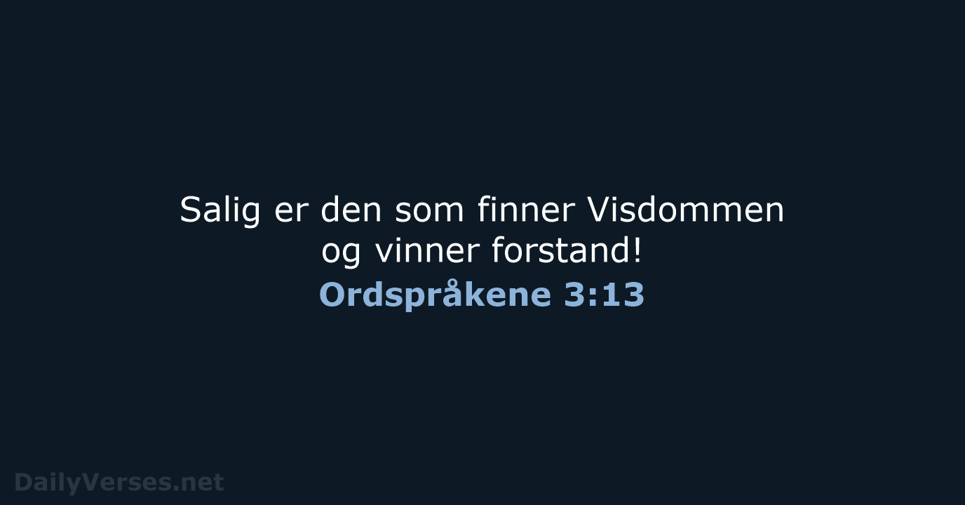 Ordspråkene 3:13 - B2024