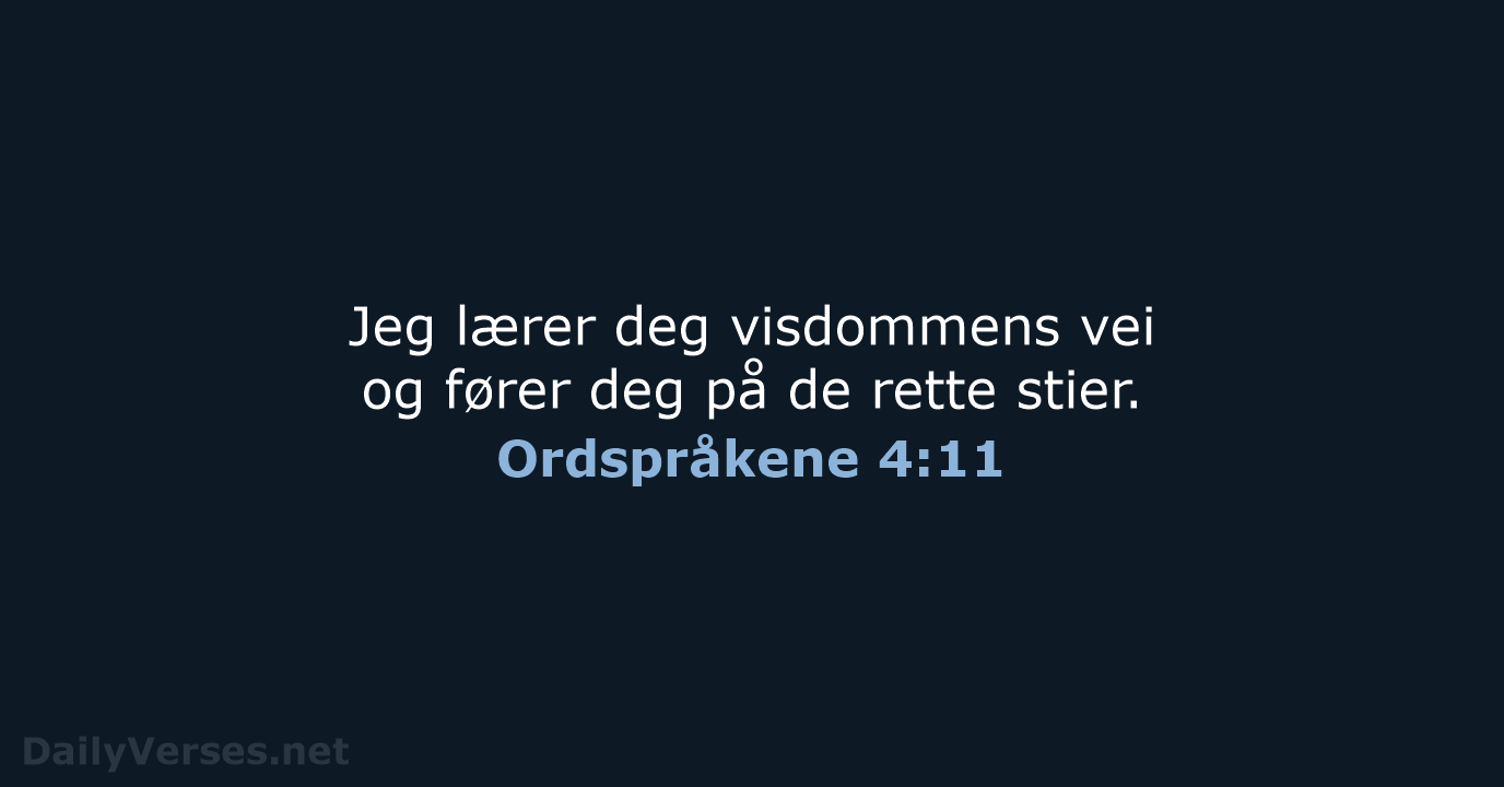 Ordspråkene 4:11 - B2024