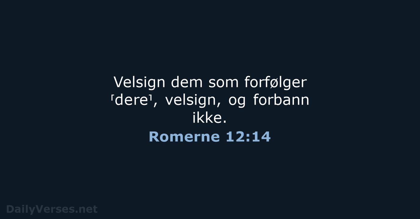 Romerne 12:14 - B2024