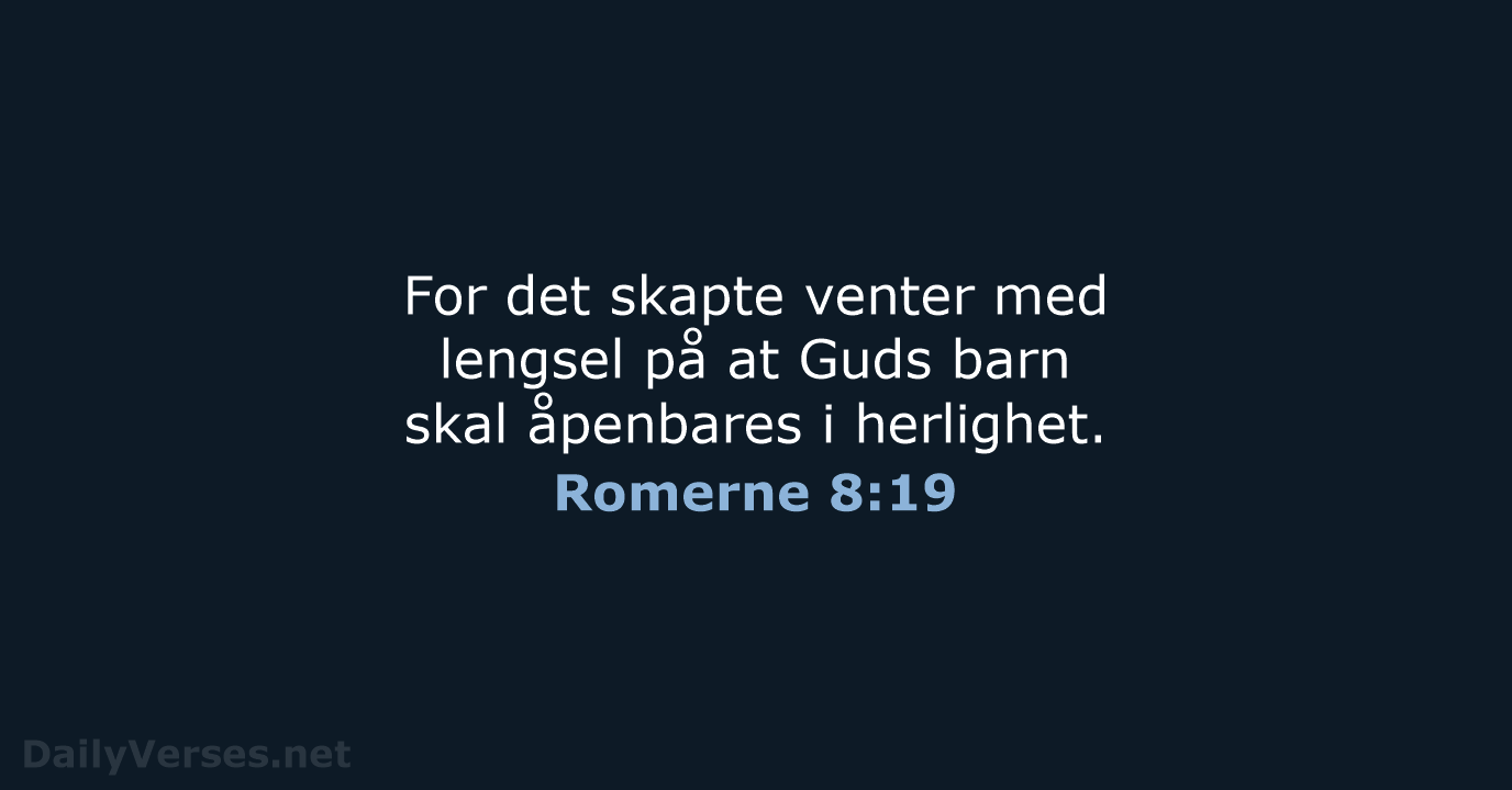 Romerne 8:19 - B2024