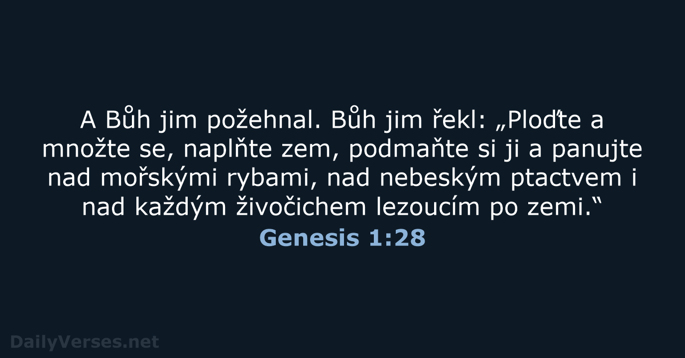 Genesis 1:28 - B21