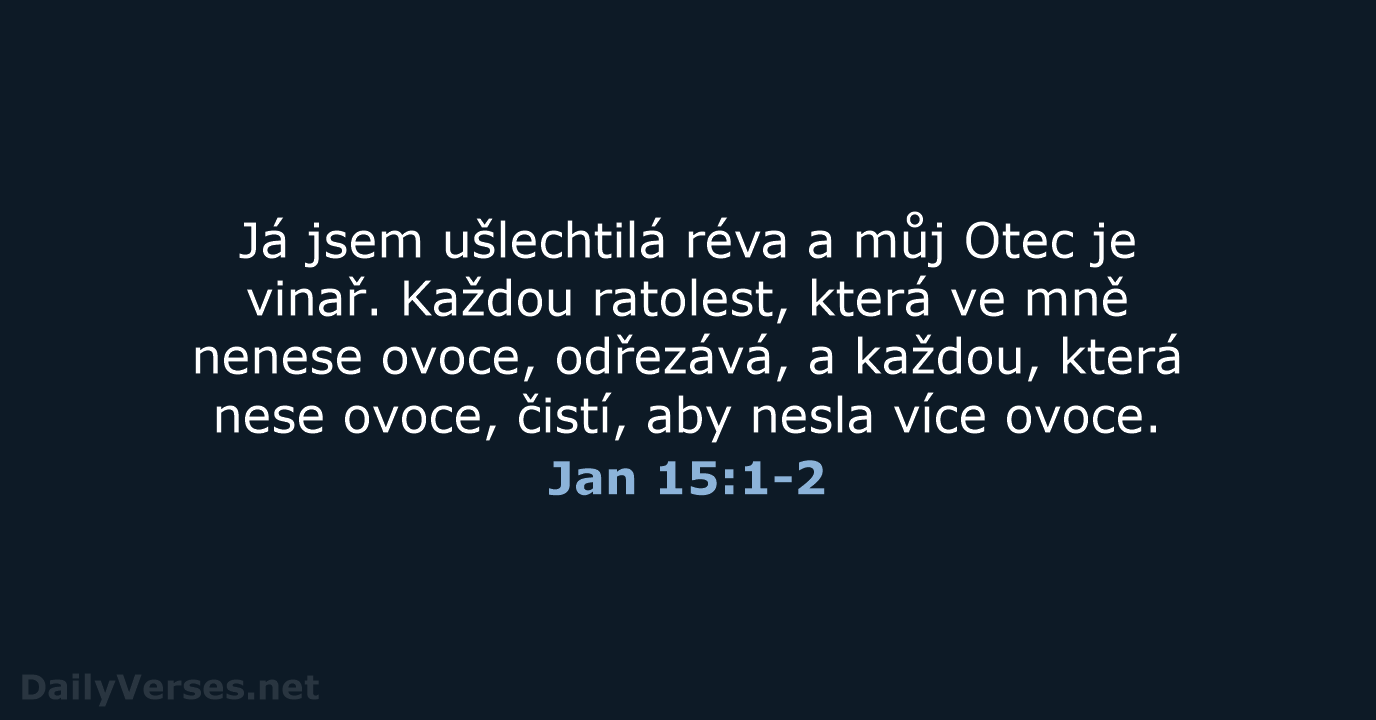 Jan 15:1-2 - B21