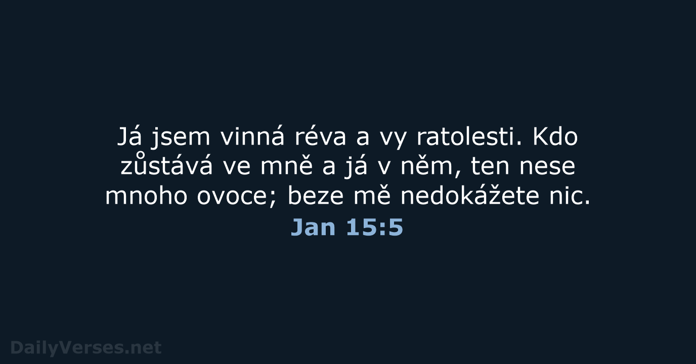 Jan 15:5 - B21