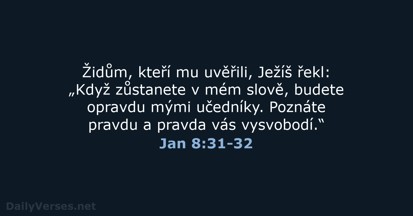 Jan 8:31-32 - B21