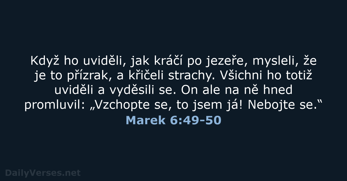 Marek 6:49-50 - B21