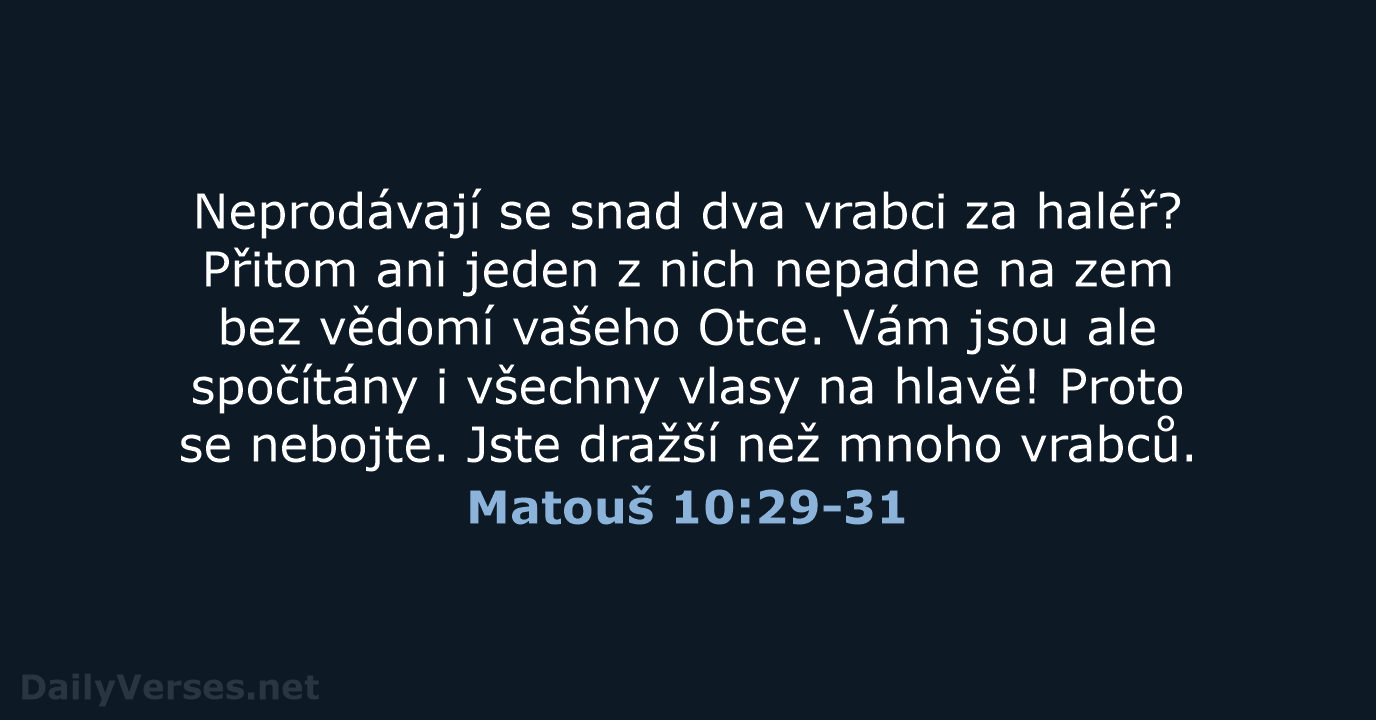 Matouš 10:29-31 - B21