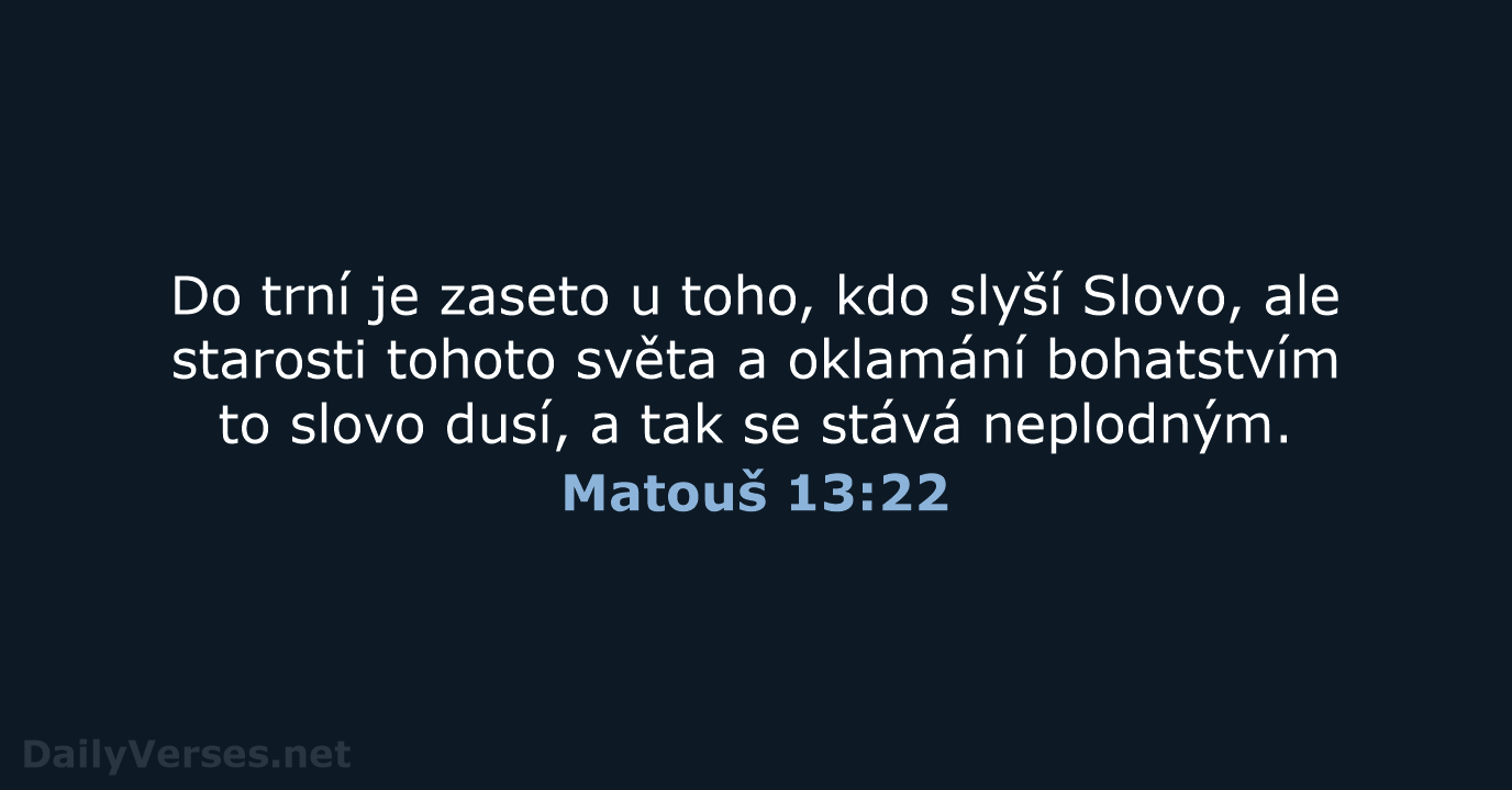 Matouš 13:22 - B21