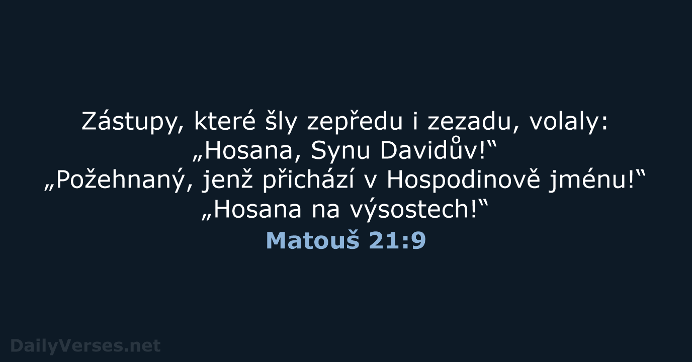 Zástupy, které šly zepředu i zezadu, volaly: „Hosana, Synu Davidův!“ „Požehnaný, jenž… Matouš 21:9